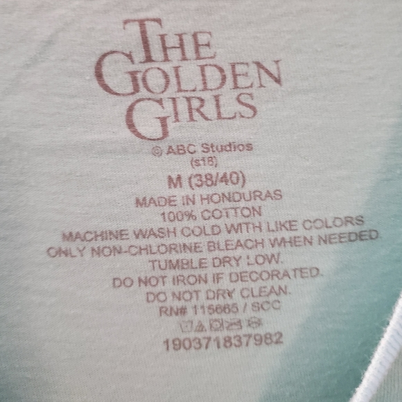 The Golden Girls Mens Teal SQUAD Iconic Graphic Tee M - Picture 3 of 8